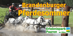 TrustPromotion Messekalender Logo-Brandenburger Pferdesommer in Paaren im Glien
