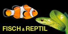 TrustPromotion Messekalender Logo-Fisch & Reptil in Sindelfingen